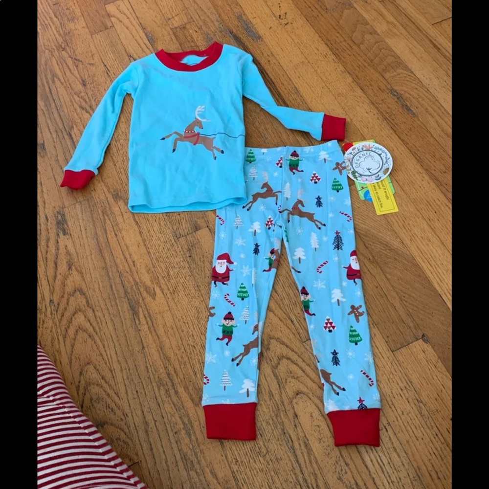 Saras prints santa pajamas size 2